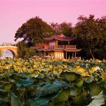 【純玩江南】華東五市雙飛六天(無錫、杭州、蘇州、烏鎮、上海)